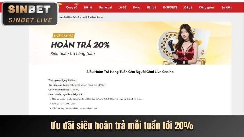 Hoàn trả hàng tuần 66ff